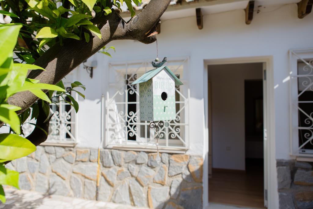 Apartamentos Casa Torres - Adults Only アルビール エクステリア 写真