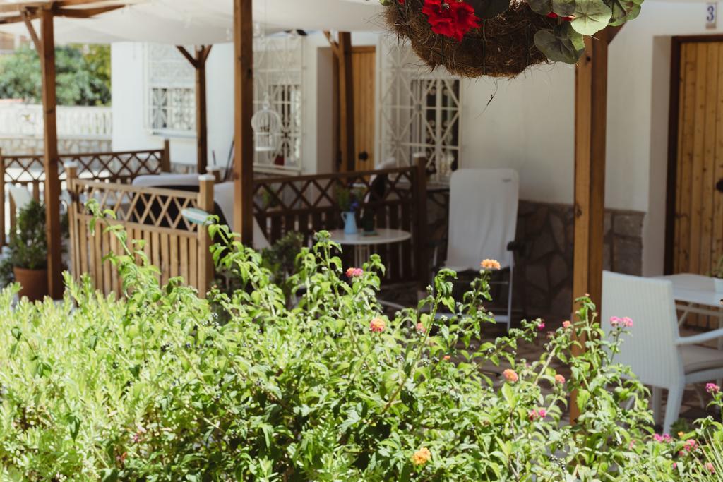 Apartamentos Casa Torres - Adults Only アルビール エクステリア 写真